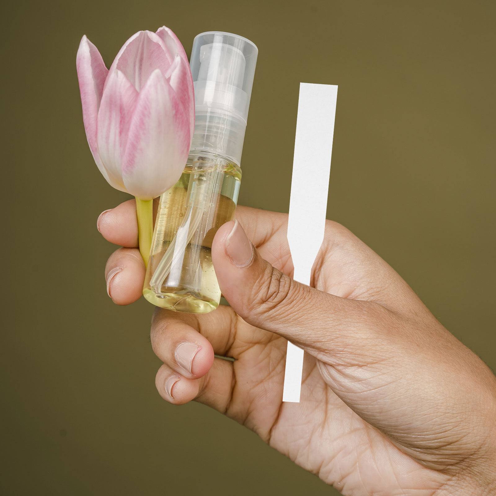 Perfume In Fragrance Shop - 100 Stück Parfüm-Teststreifen Duft-Teststreifen für Kosmetikgeschäfte